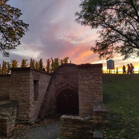 Stela'S Apartments - Vysehrad براغ المظهر الخارجي الصورة